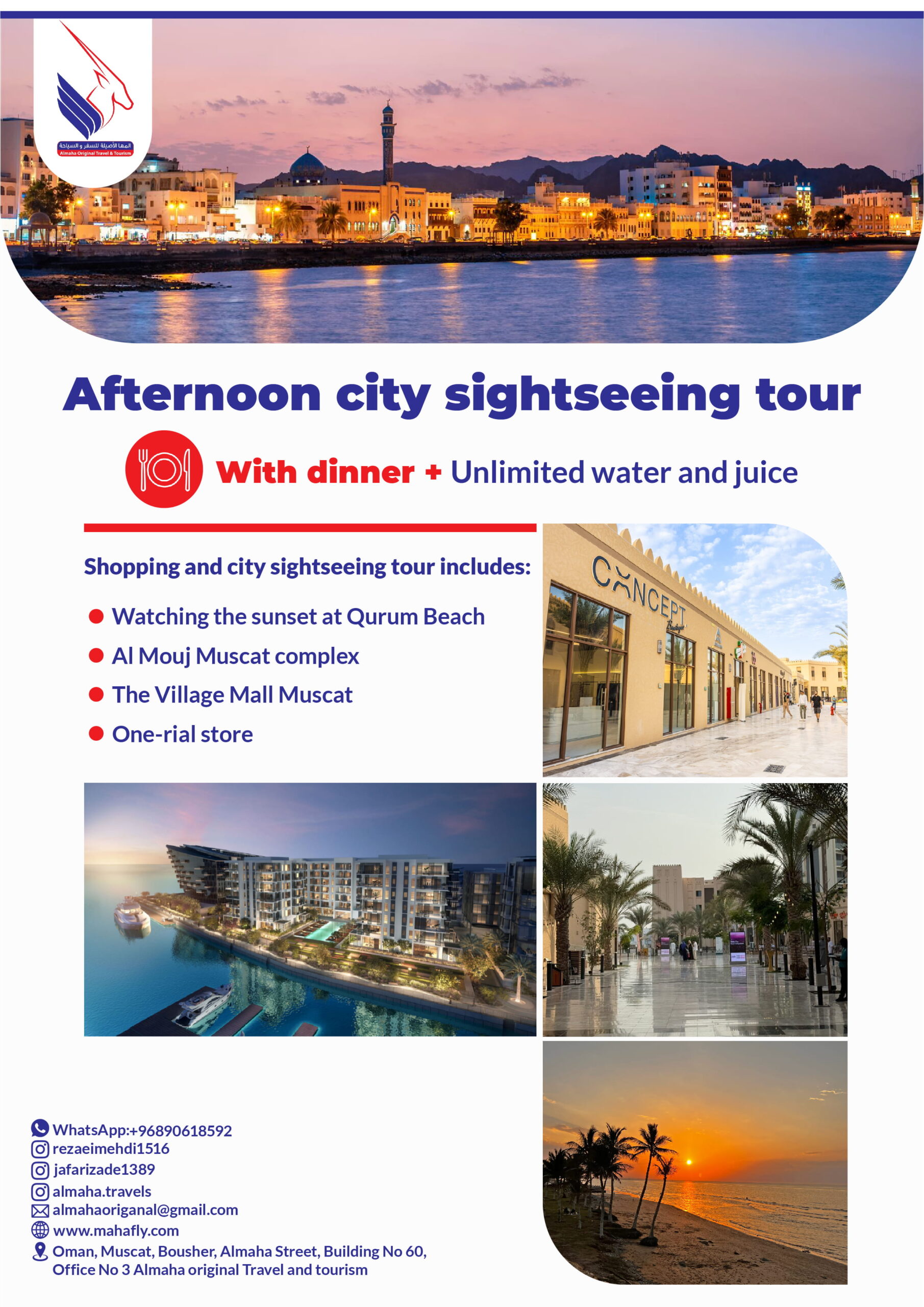 Afternoon city sightseeing tour-1